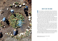 The Essential Tequila & Mezcal Companion