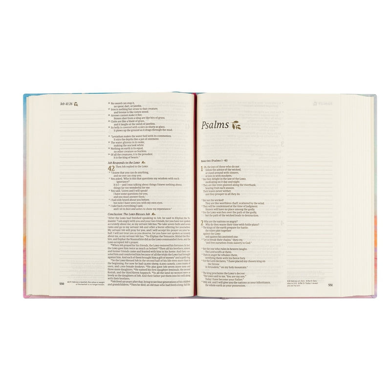 Nlt Notetaking Bible: Rosemary Beach Theme