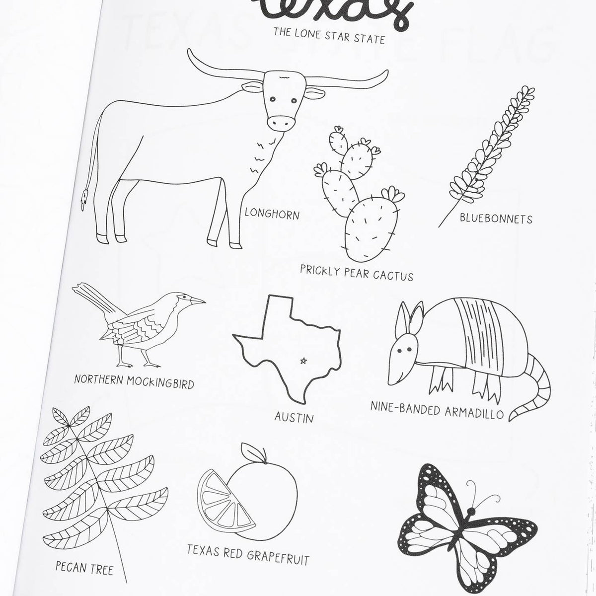 Texas Coloring Book