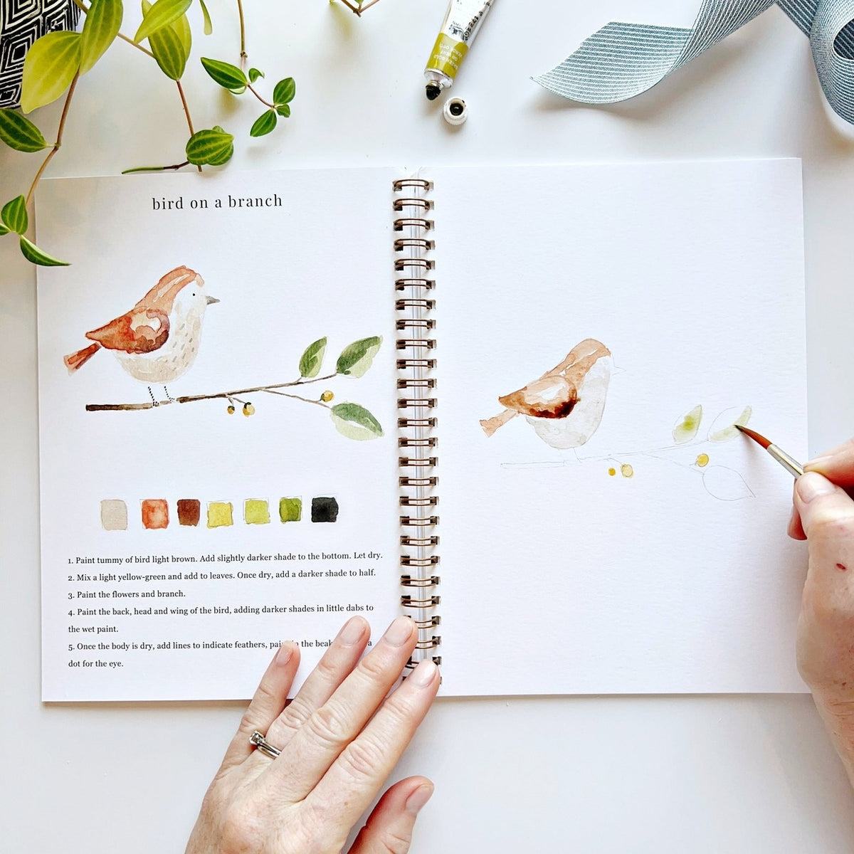 Watercolor Workbook