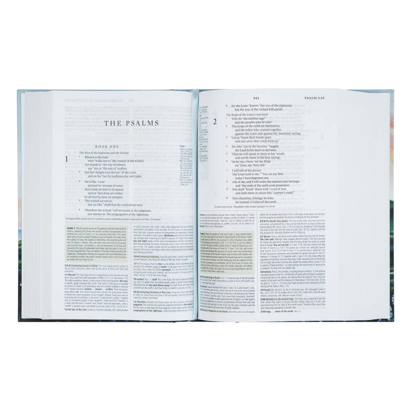 Esv Study Bible: Iceland Theme