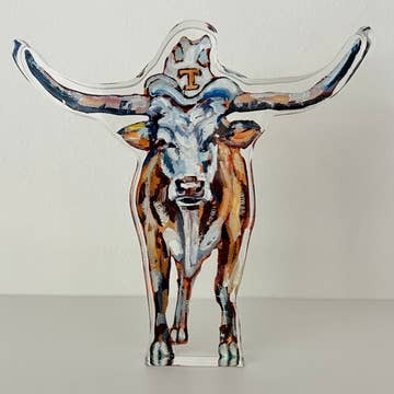 TX Longhorn Acrylic Shelfie