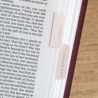 Pink & Cream Bible Tabs