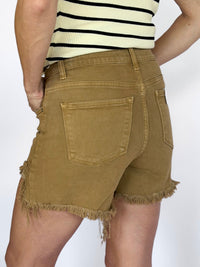 Chandler Frayed Denim Shorts