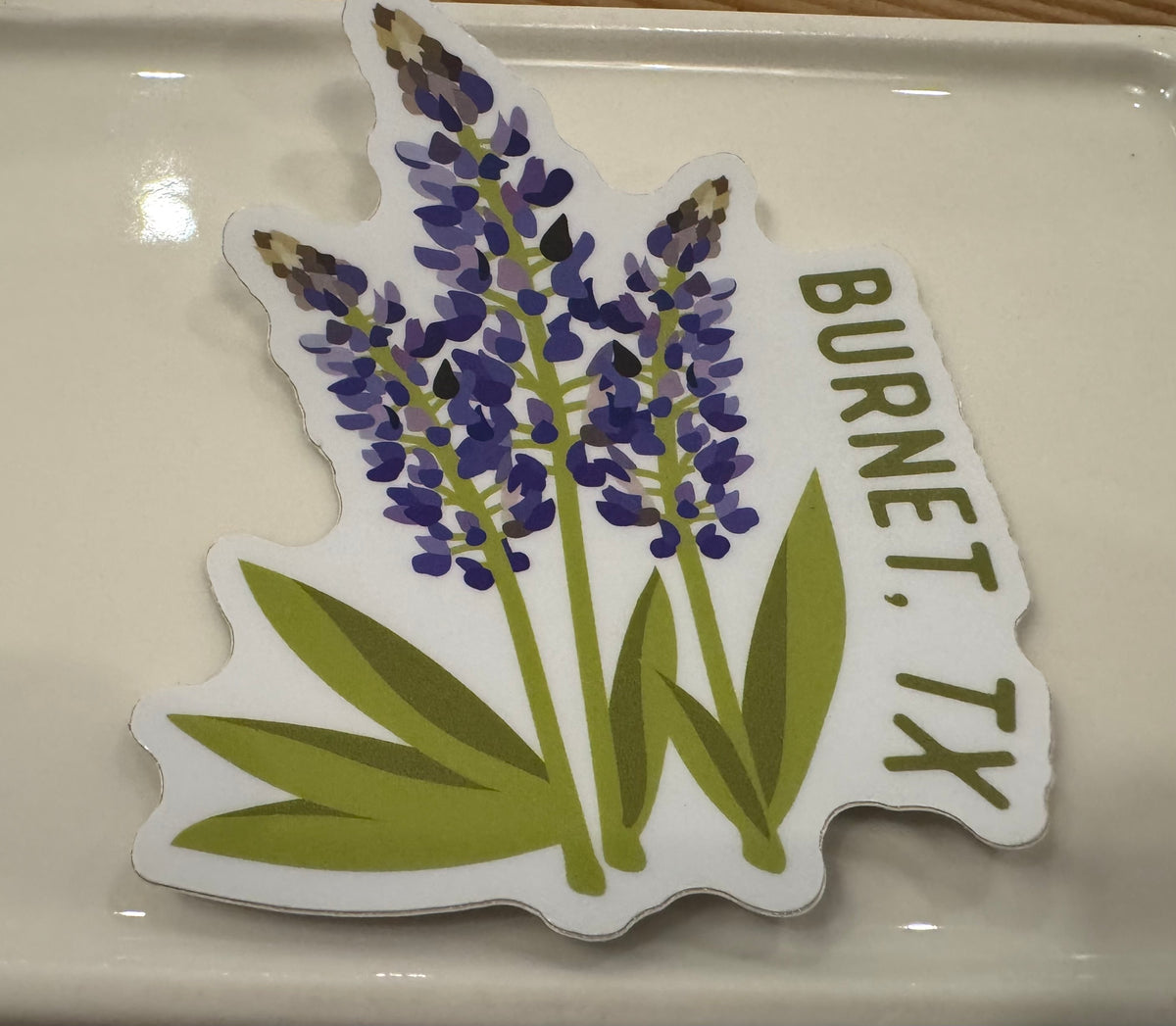 Bluebonnet Sticker