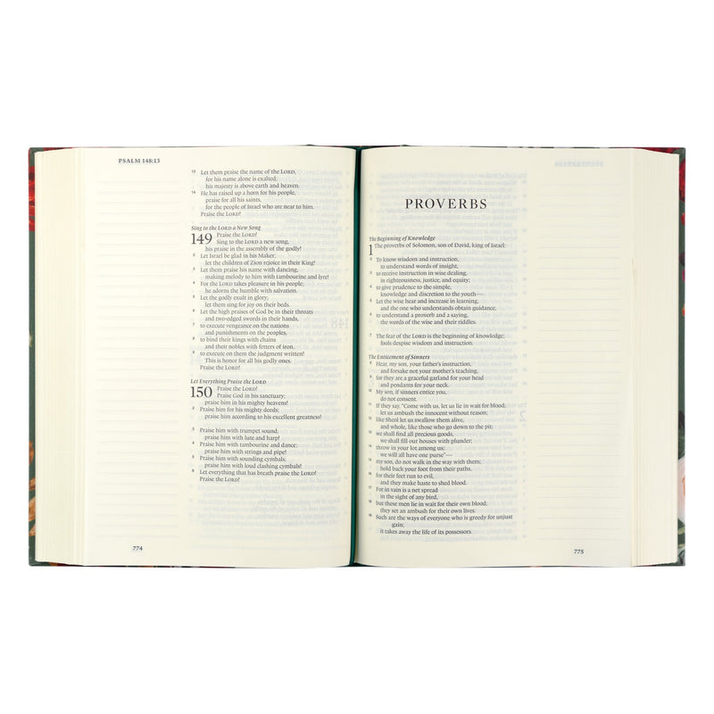Hollis ESV Large Print Bible