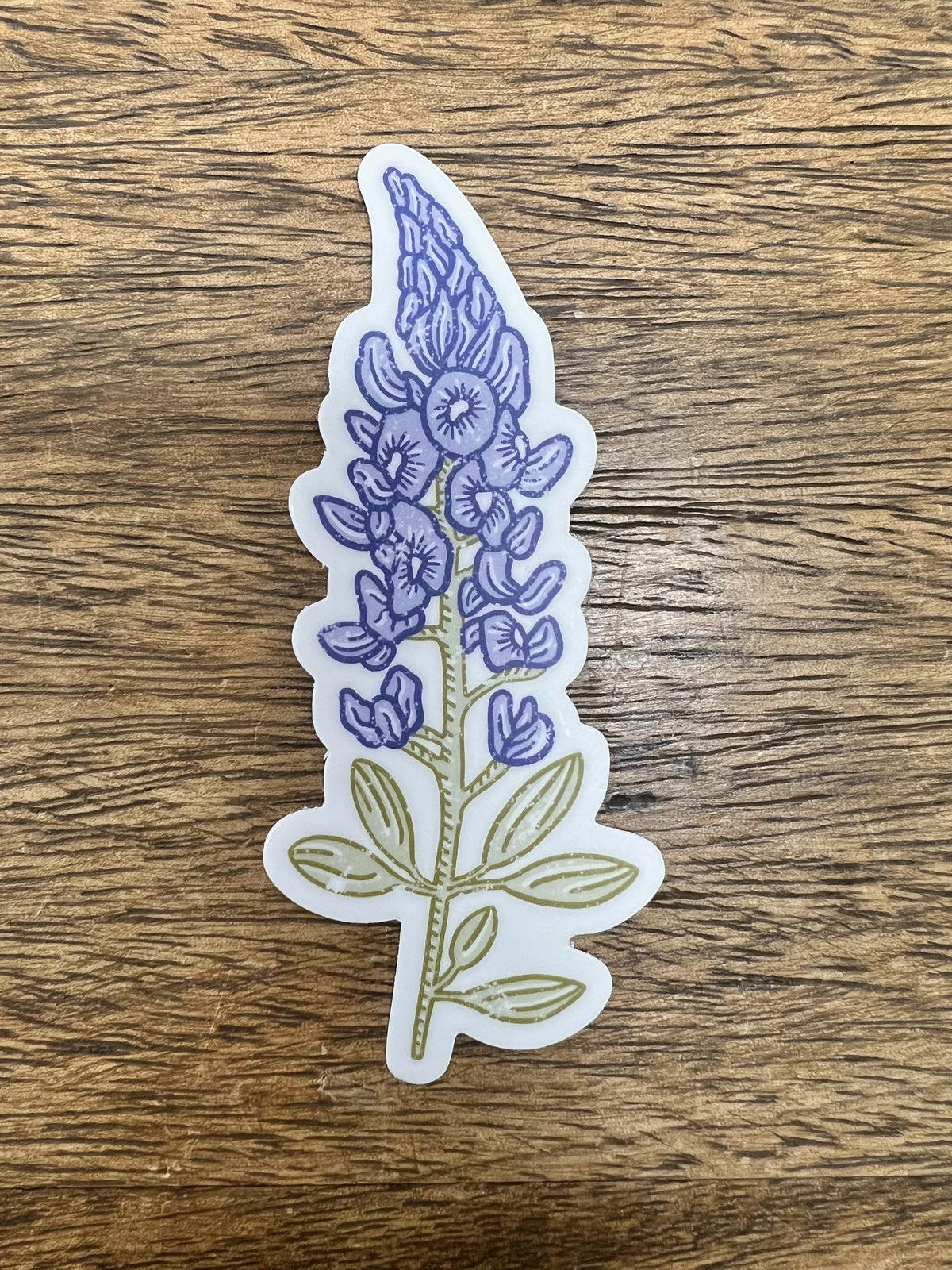 Bluebonnet Sticker