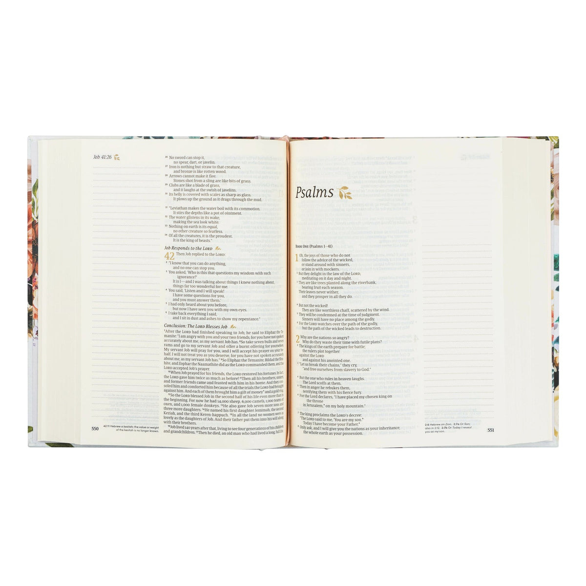 NLT Notetaking Bible: Madrid Theme