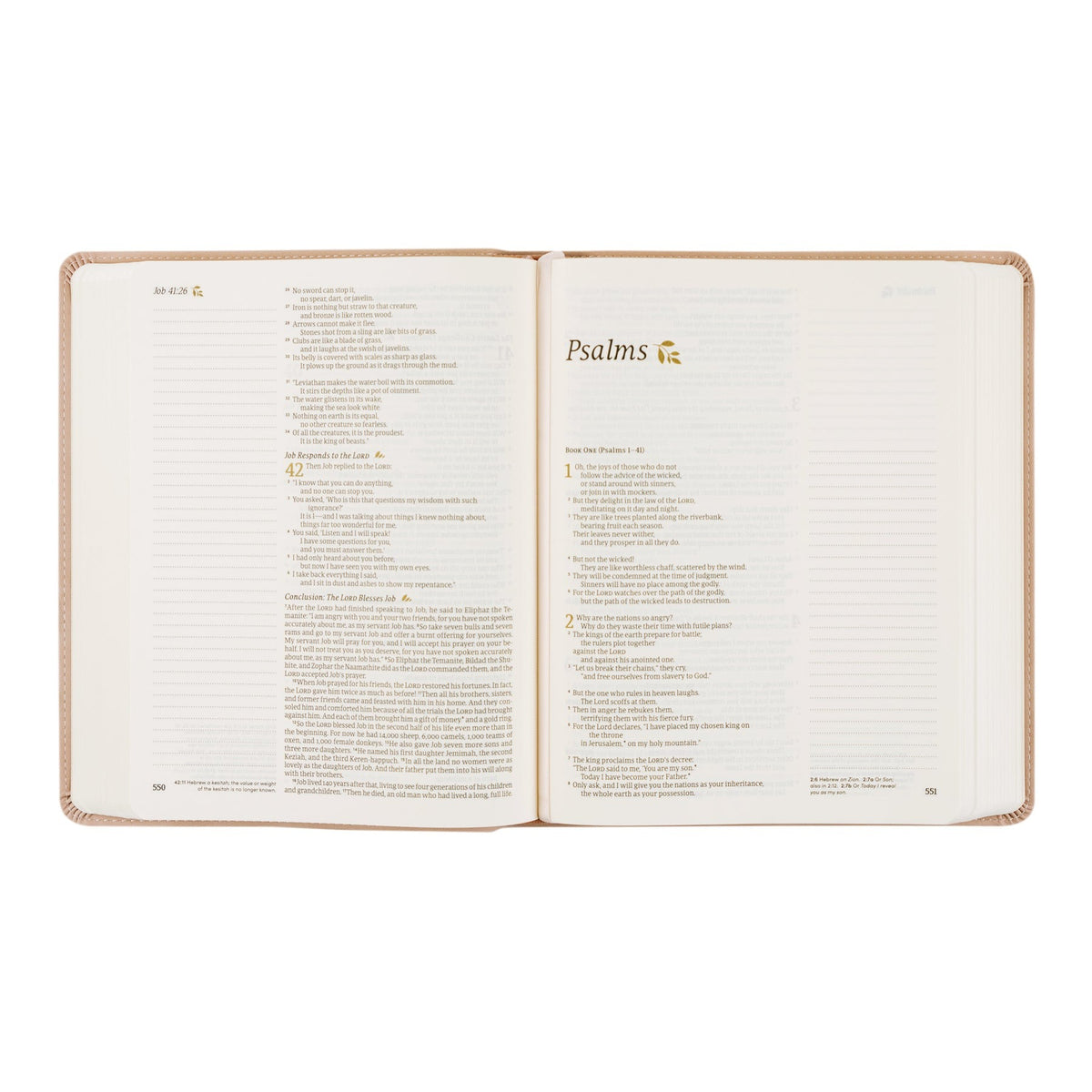 NLT Notetaking Bible: Shiloh Theme