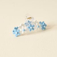 Claw Clip