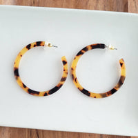 Cameron Hoops- Tortoise