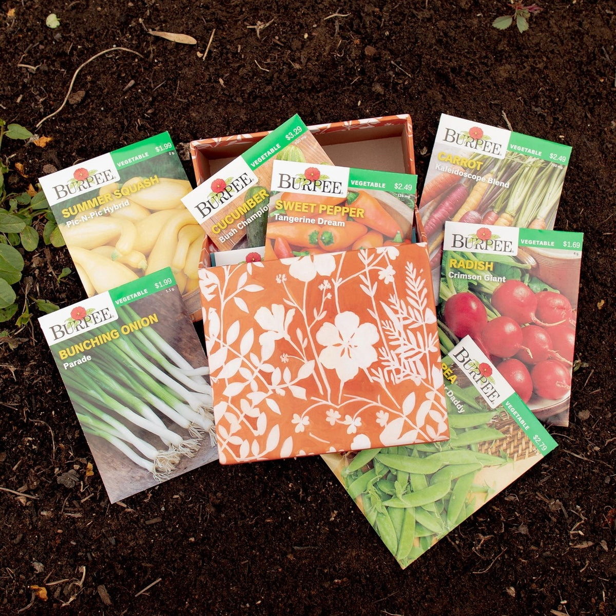 Sunriver Specialty Greeting Card Seed Box Set