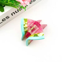 Watermelon Hair Clip