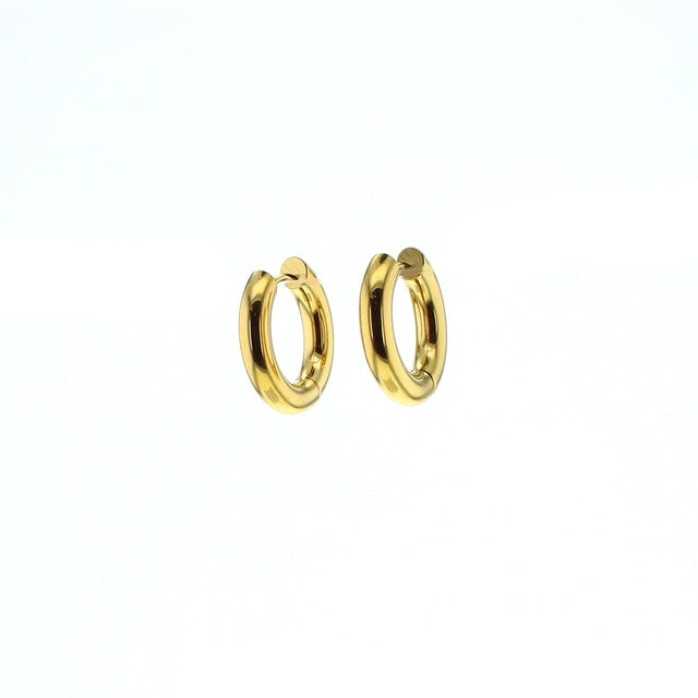 Mary Waterproof Earrings