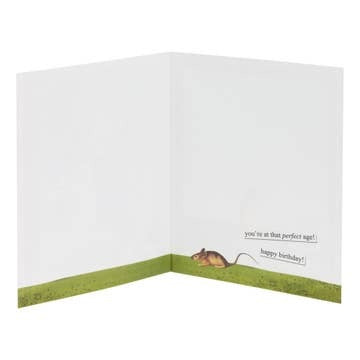 Old Enough To Know Better Birthday Card